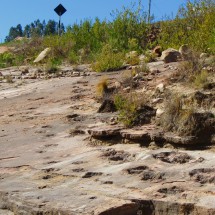 Dinosaur footprints close to the village Torotoro